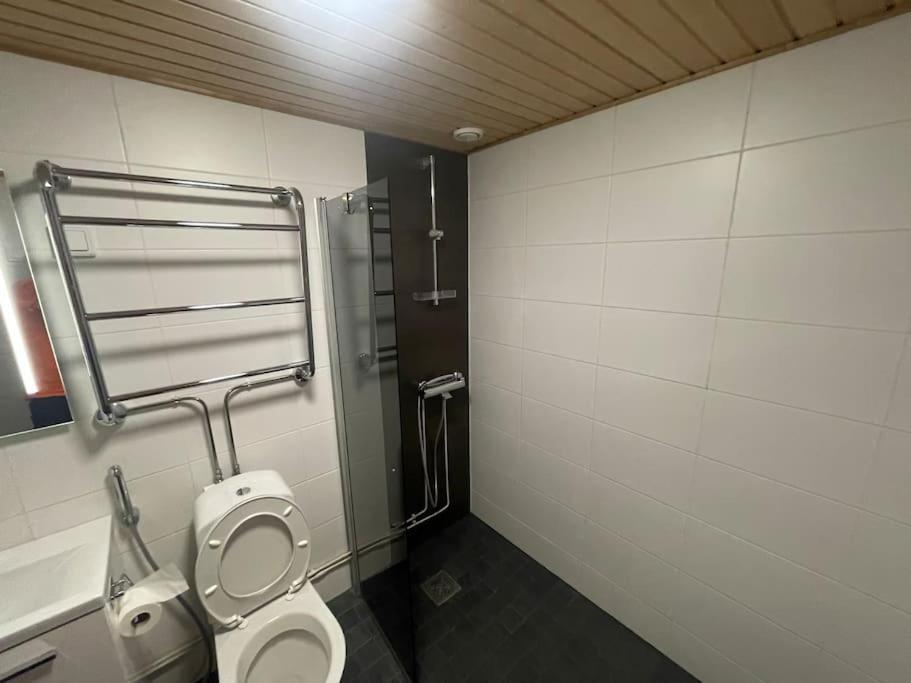 Tilava Kaksio, Saunalla Ja Saehkoeauton Latauksella. Tampere Ngoại thất bức ảnh